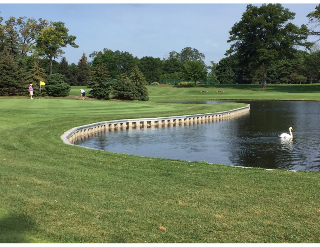 view of the eleventh hole green with water trap