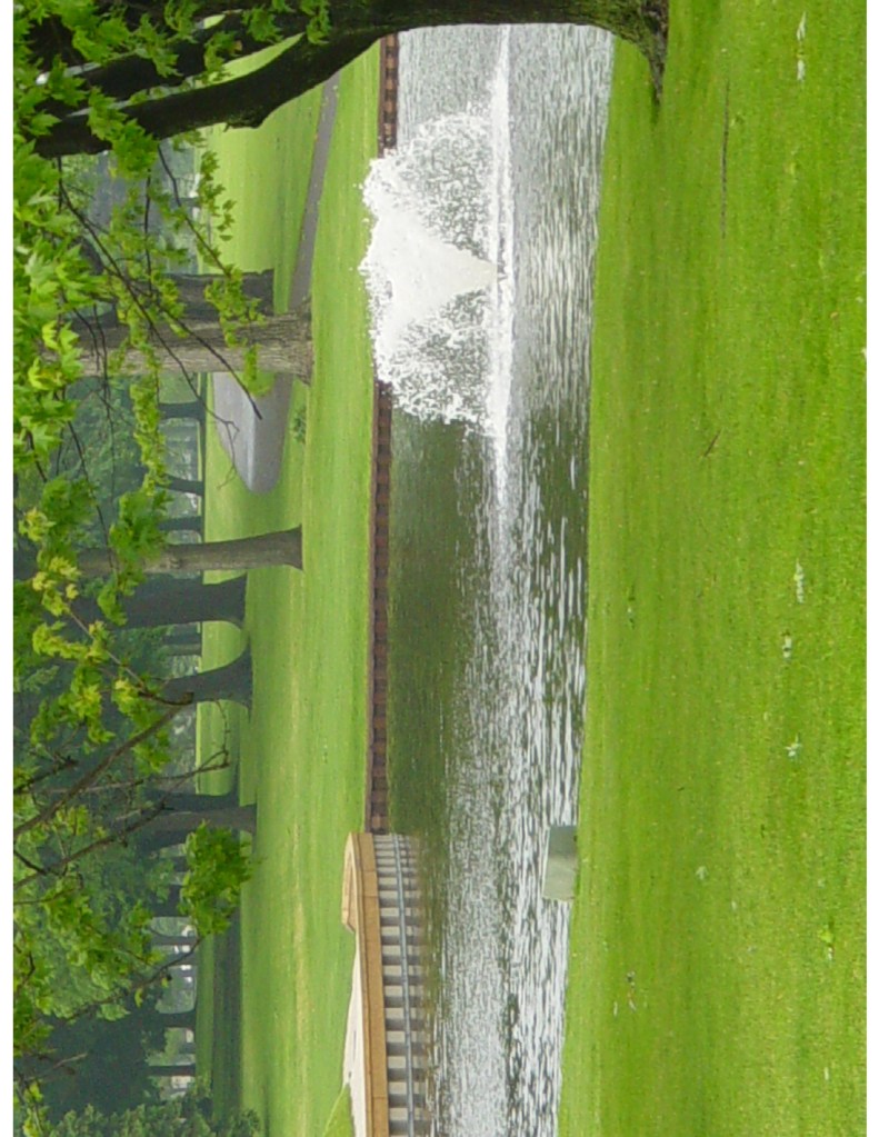 view of fountain on golf course green